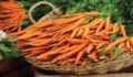 10 Amazing Carrot Juice Benefits