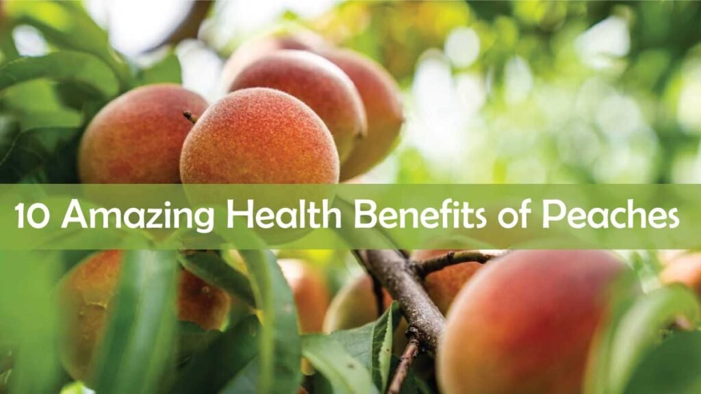 10 Amazing Health Benefits Of Peaches You Need To Know - Fitness Regain