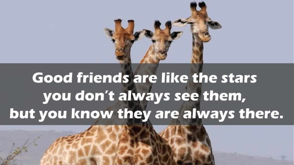 Friendship Quote of the Day