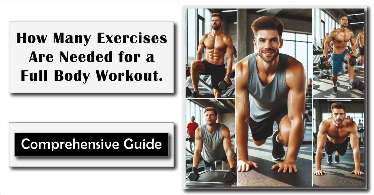 How Many Exercises Are Needed for a Full Body Workout